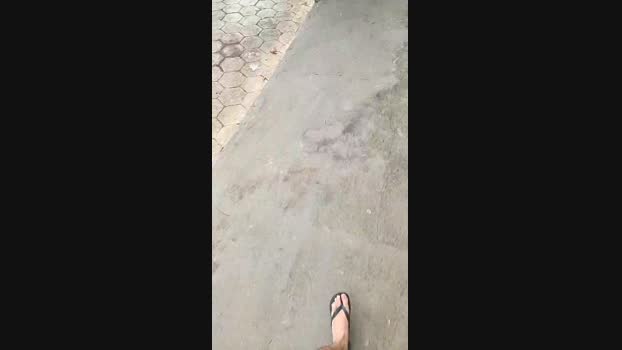 leon_mag 26-01-2025 Recorded Video big