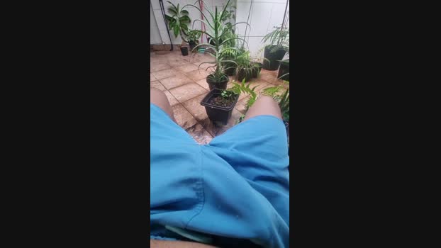 melzinho6 26-01-2025 Recorded Video big