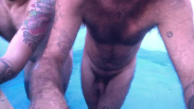 BICHA007 27-01-2025 Recorded Video bicurious
