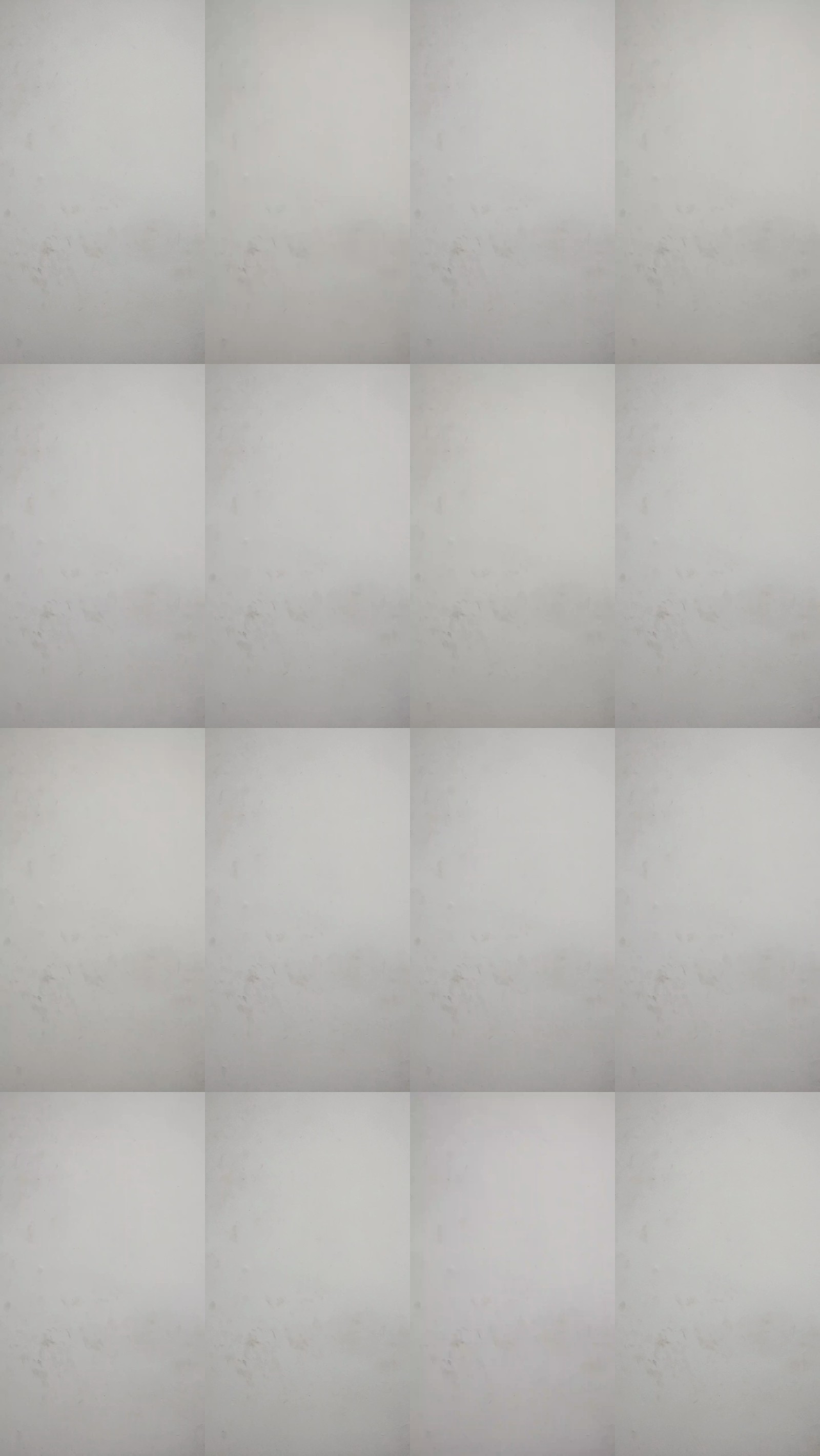 leandro1967 28-01-2025 Recorded Video kiss