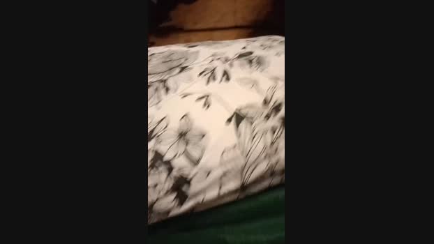 Alee3ssandro 29-01-2025 Recorded Video big