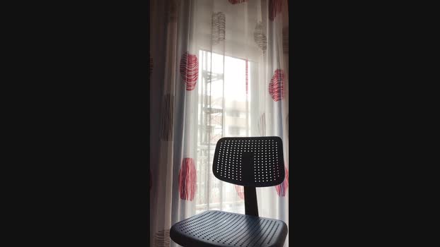 Ericazzo 29-01-2025 Recorded Video toy