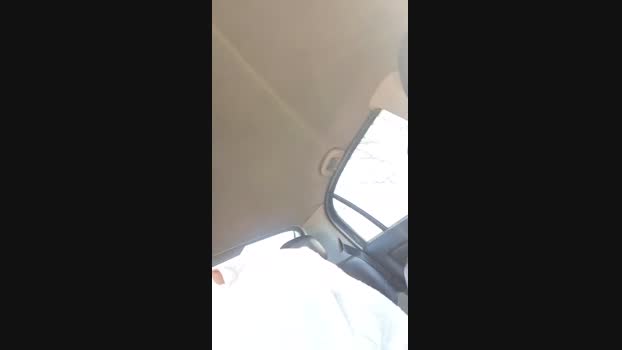 Wayoflife 29-01-2025 Recorded Video toys