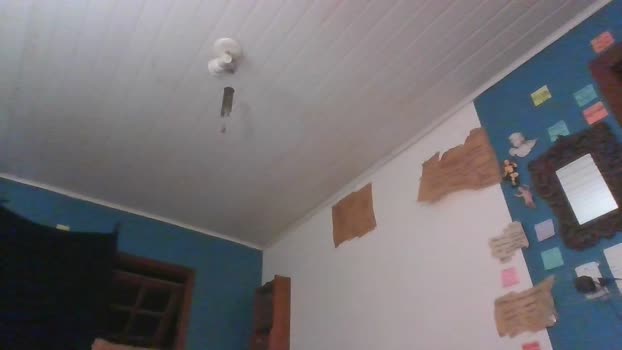 ooproprio 29-01-2025 Recorded Video jerking