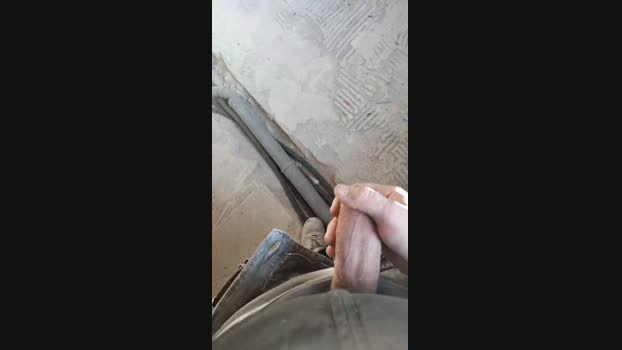 pippo405 29-01-2025 Recorded Video natural