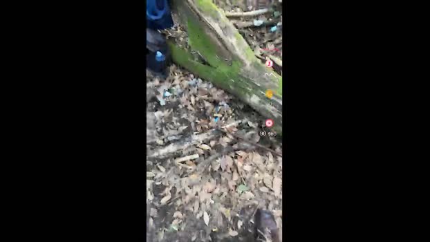 Culo_Fist 30-01-2025 Recorded Video toy