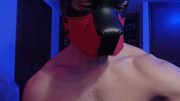 Frabroker 29-01-2025 Recorded Video Recorded