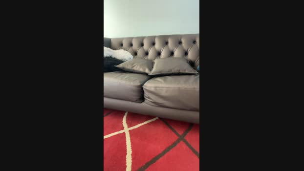 superkinghot 30-01-2025 Recorded Video Nude