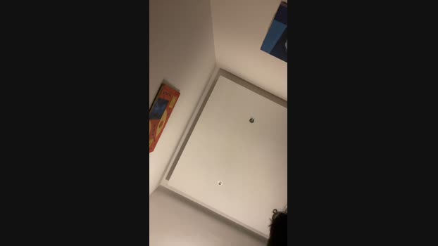 tangie_hot 31-01-2025 Recorded Video gay