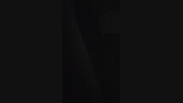 Beardedveteran 31-01-2025 Recorded Video love