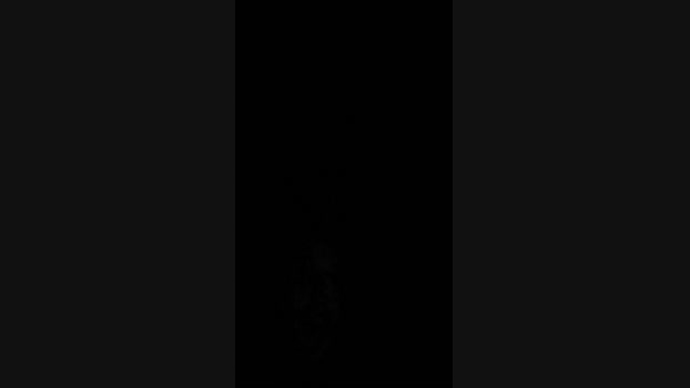 Magrinhoaju 01-02-2025 Recorded Video bicurious