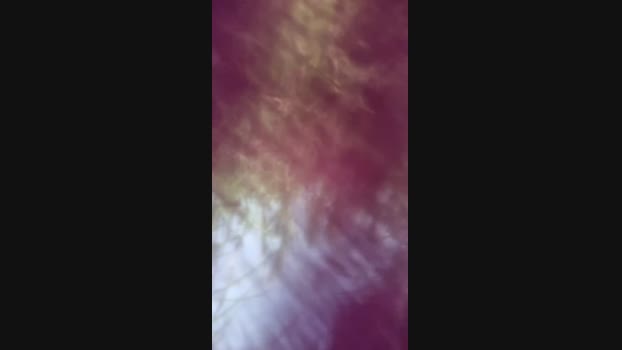 Paulhot18 31-01-2025 Recorded Video beauty