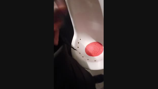 SeuMachoTop 01-02-2025 Recorded Video hardcock