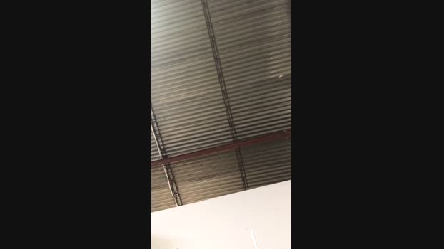 Verdugo_32 01-02-2025 Recorded Video jerking