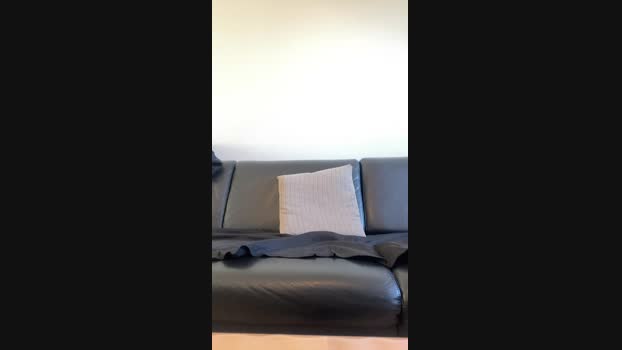 cemm7 01-02-2025 Recorded Video Porn