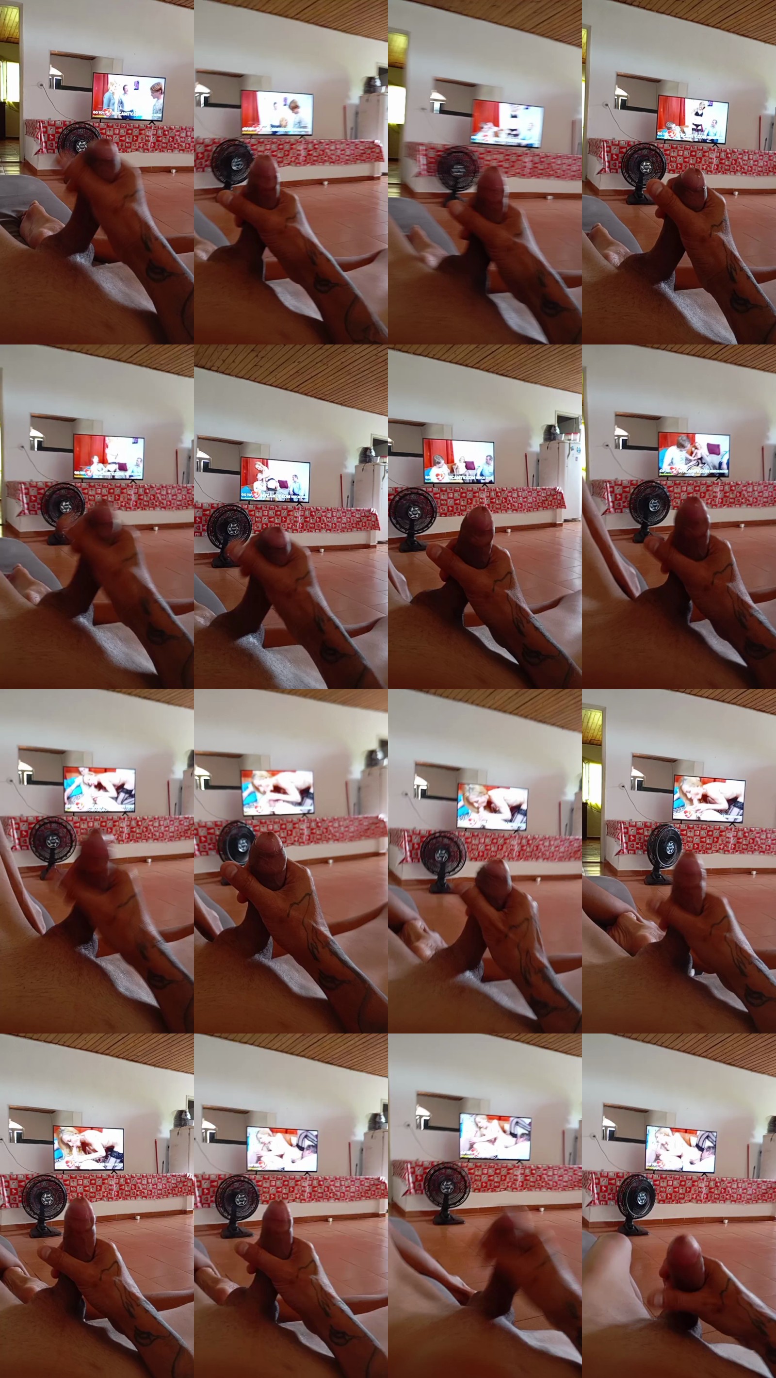 DonM37 02-02-2025 Recorded Video Cam