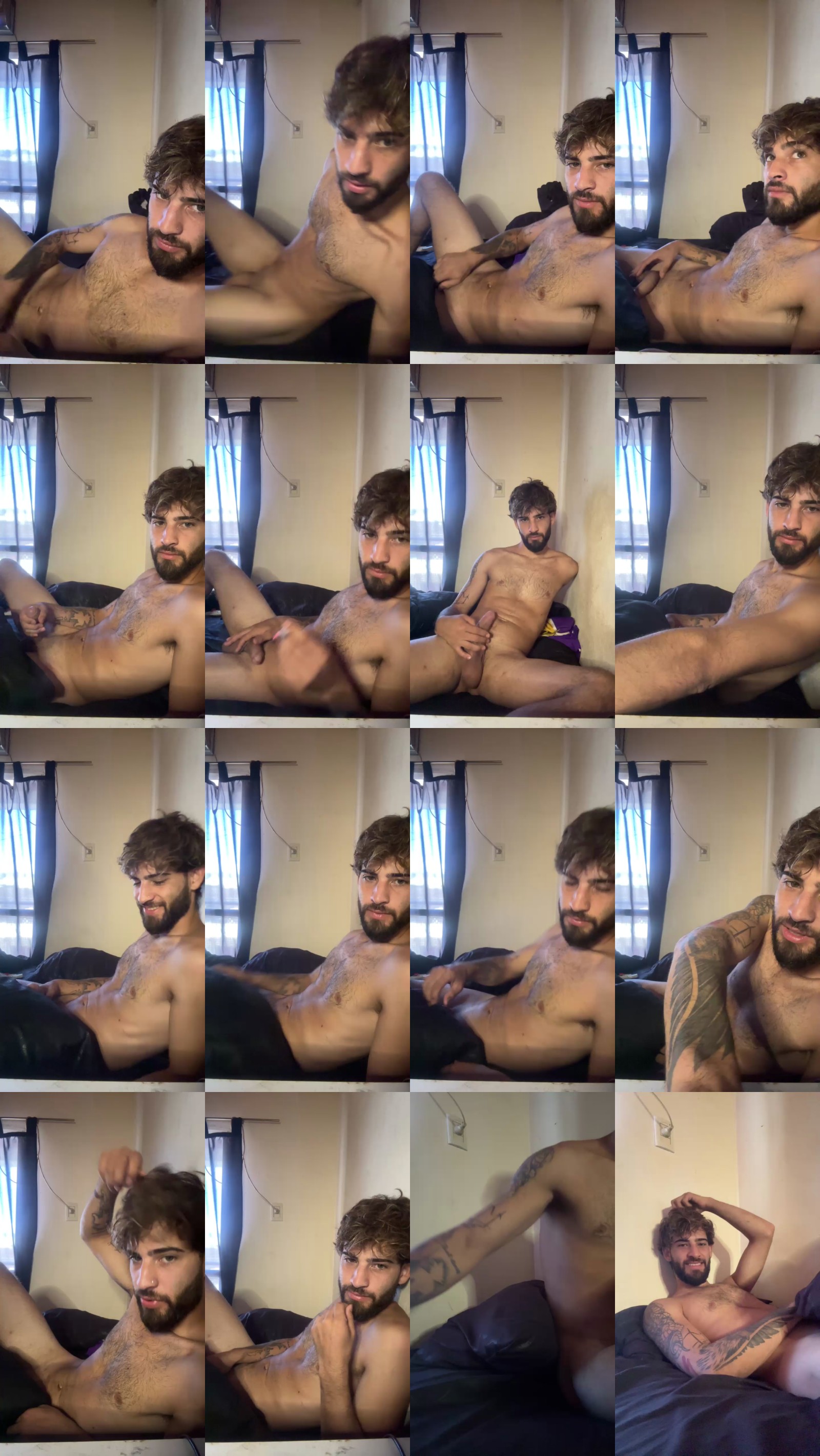 Tlfenix 02-02-2025 Recorded Video analtoy