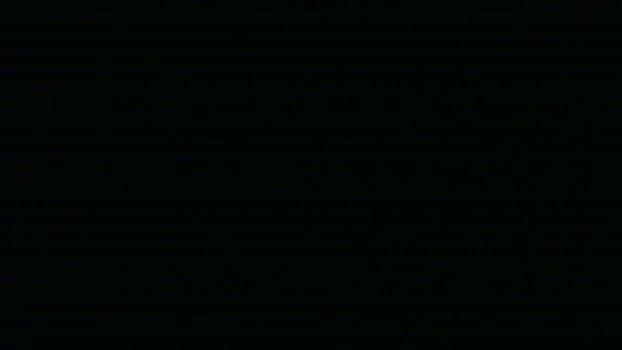 talltalllion 02-02-2025 Recorded Video toy