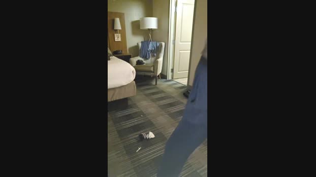 Beardedveteran 03-02-2025 Recorded Video Webcam
