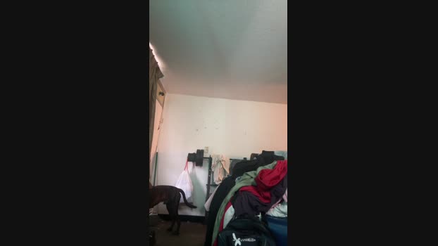 notagainagain 03-02-2025 Recorded Video fuck
