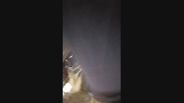 Beardedveteran 04-02-2025 Recorded Video toys
