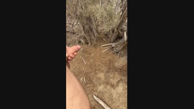 DiscretScorpion 04-02-2025 Recorded Video kiss