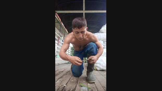 daven_hopperr 03-02-2025 Recorded Video toy