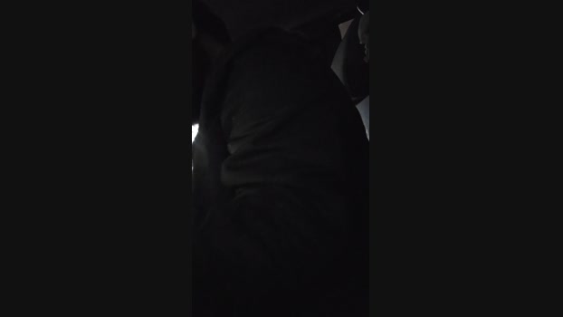 Beardedveteran 05-02-2025 Recorded Video bigballs