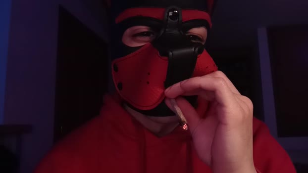 Frabroker 05-02-2025 Recorded Video analtoy