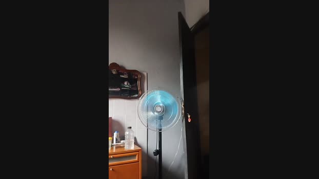 Lucas_Pink1 04-02-2025 Recorded Video cute