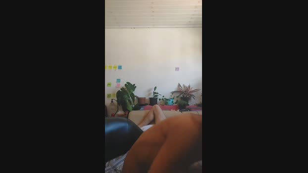 ooproprio 05-02-2025 Recorded Video suck