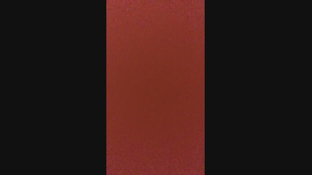 ta24ka 05-02-2025 Recorded Video bicurious