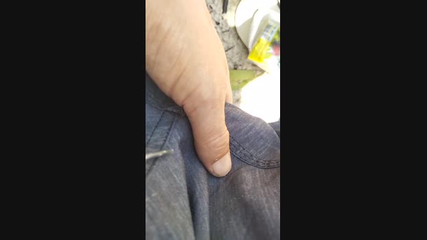 Gatonota 05-02-2025 Recorded Video oral