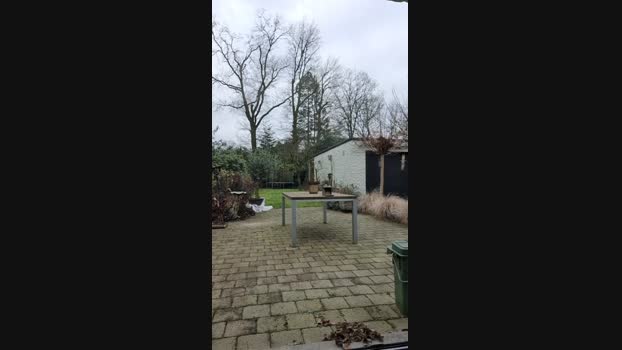 robert42 06-02-2025 Recorded Video prettyface