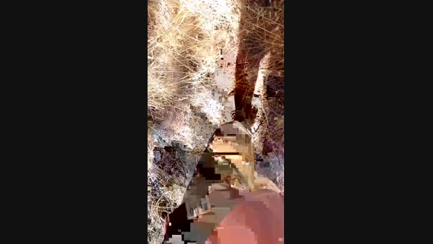 DeBombonnomas 06-02-2025 Recorded Video toy