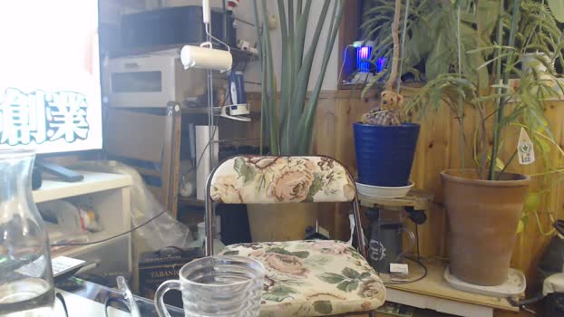 pao_onsen2 07-02-2025 Recorded Video lick