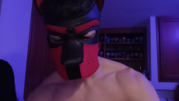 Frabroker 08-02-2025 Recorded Video play