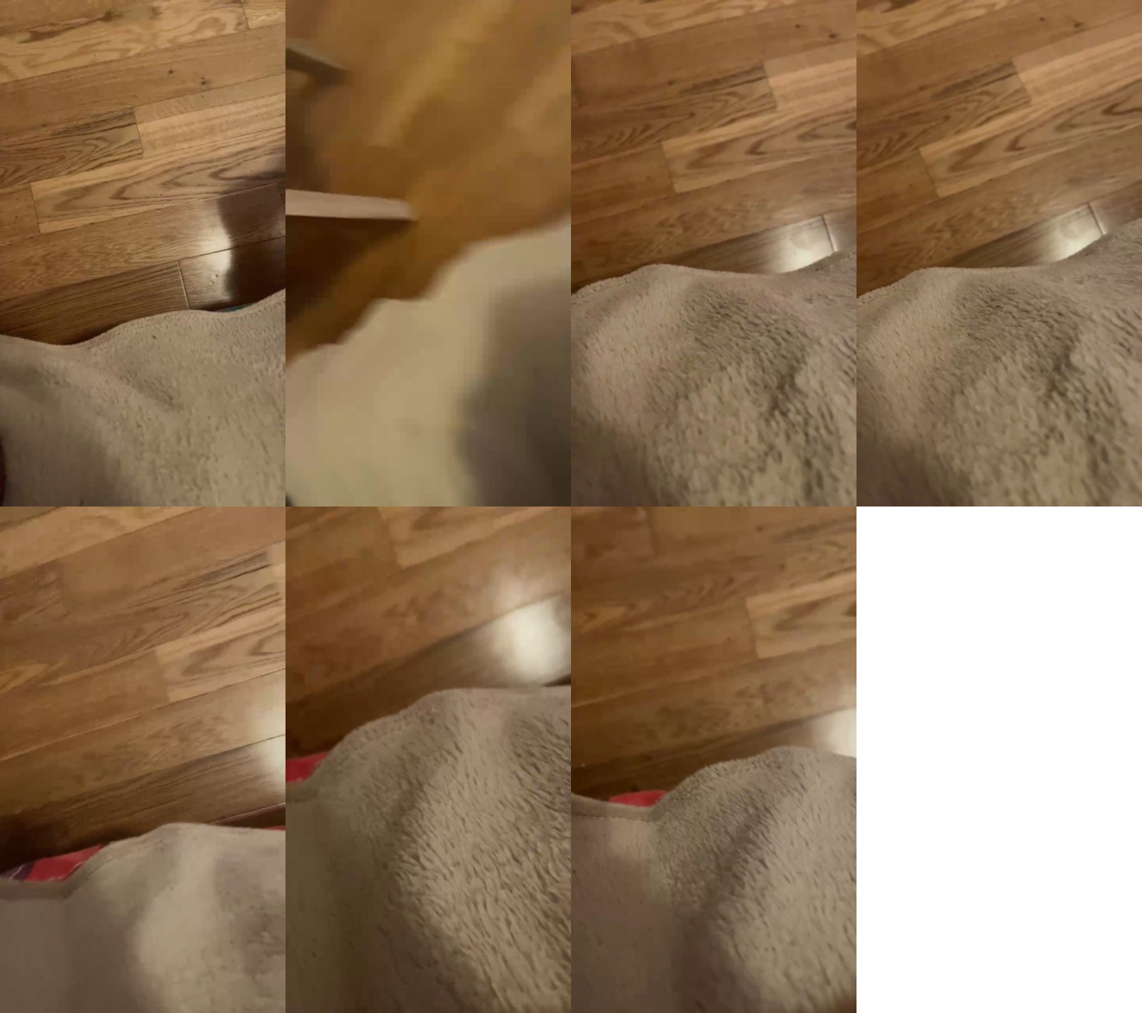 Manu97k 07-02-2025 Recorded Video Cam