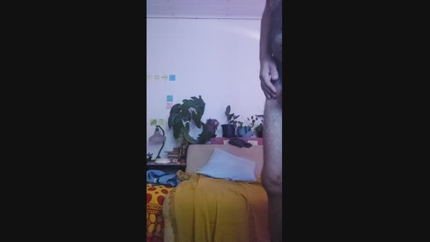 ooproprio 08-02-2025 Recorded Video bigtoys