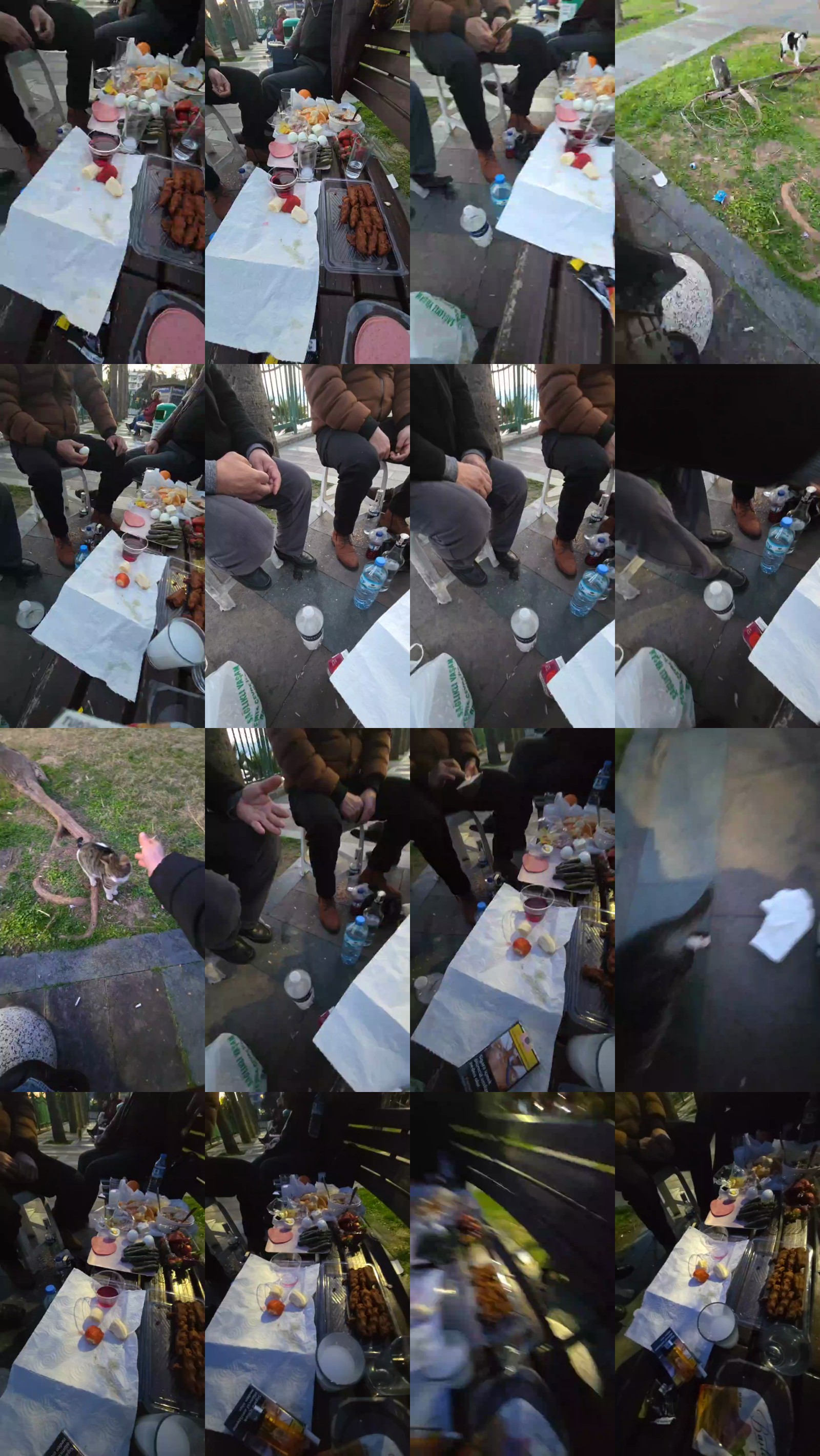pollen_07 08-02-2025 Recorded Video ass
