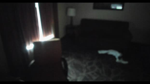 Beardedveteran 08-02-2025 Recorded Video toys