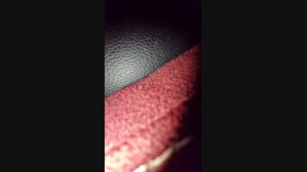 beastmasterl 09-02-2025 Recorded Video lick