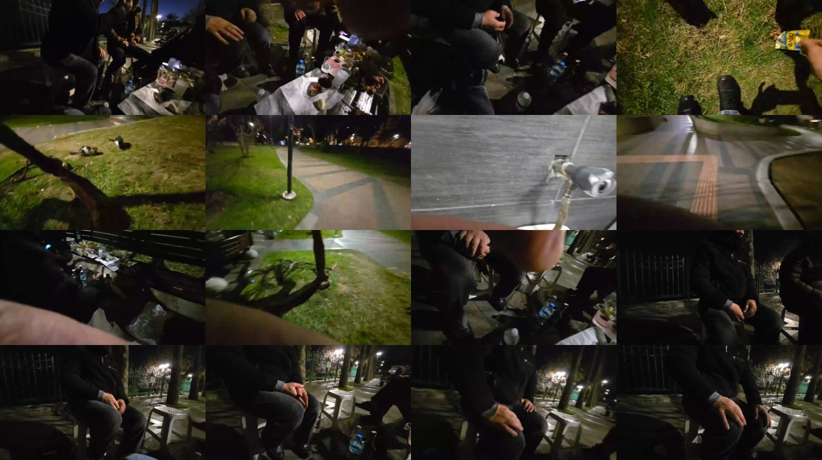 pollen_07 08-02-2025 Recorded Video bigtoys