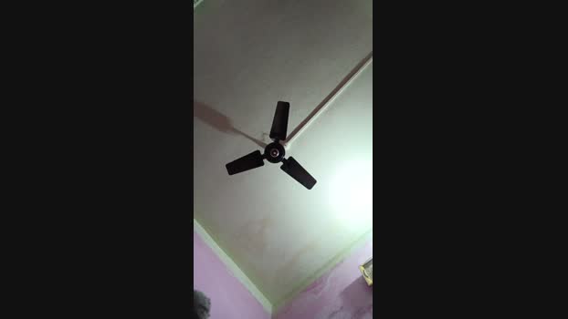 chiranjitho1 09-02-2025 Recorded Video big