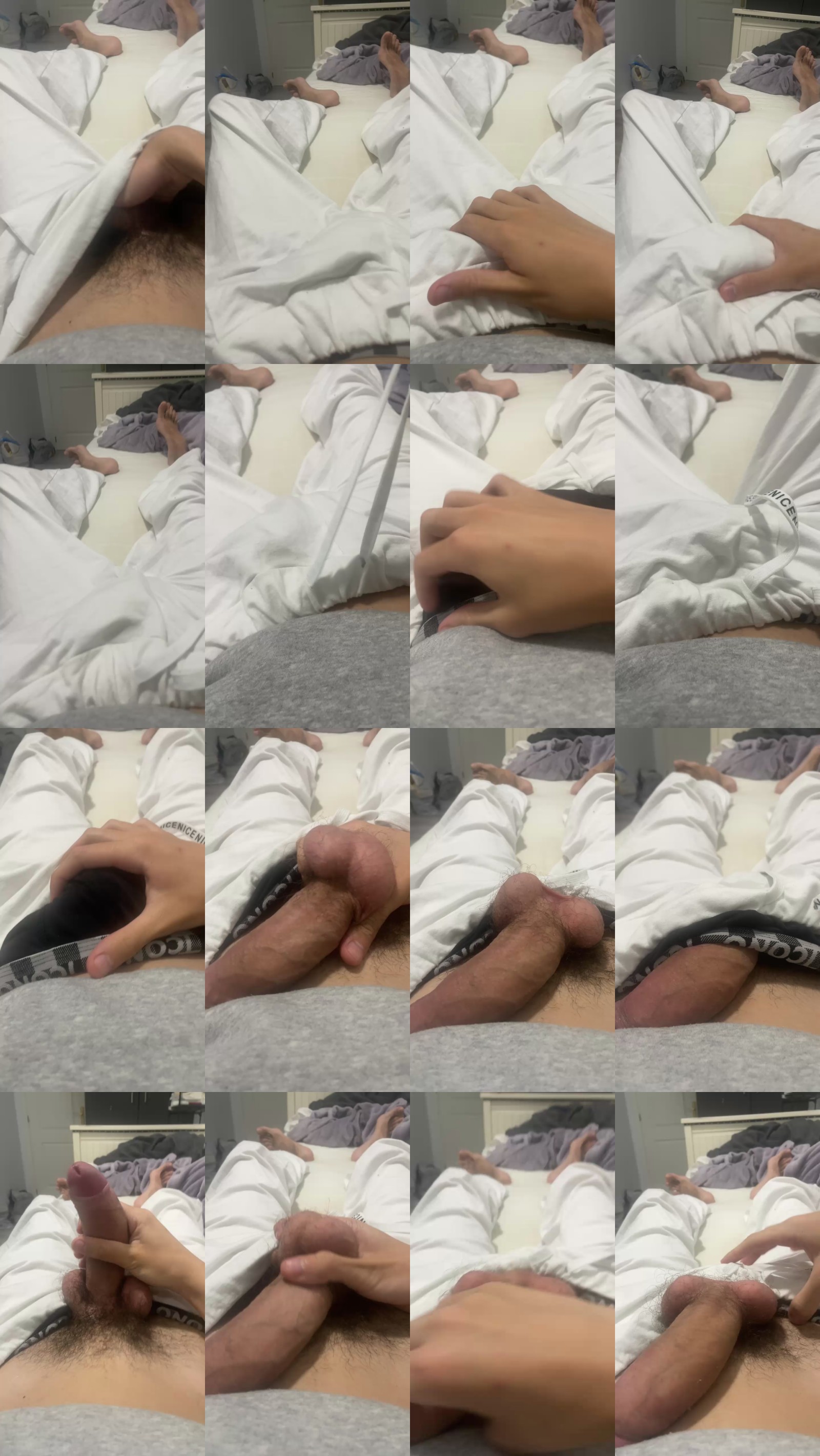 leprinceinerdit 09-02-2025 Recorded Video orgasm