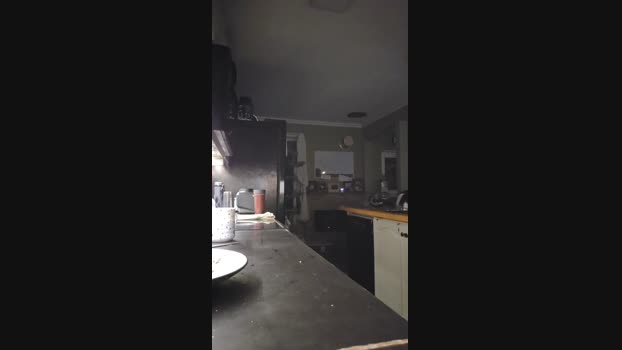 4_Fox_sakes 11-02-2025 Recorded Video yummy