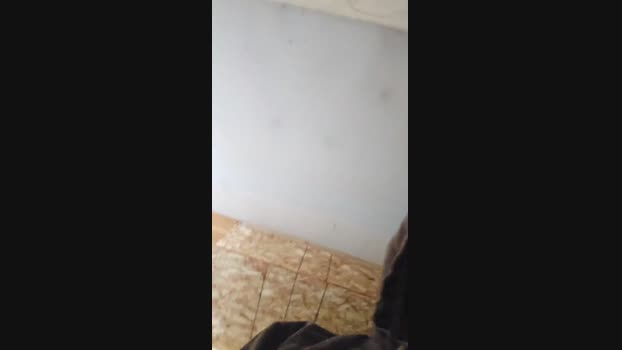 Beardedveteran 11-02-2025 Recorded Video Video
