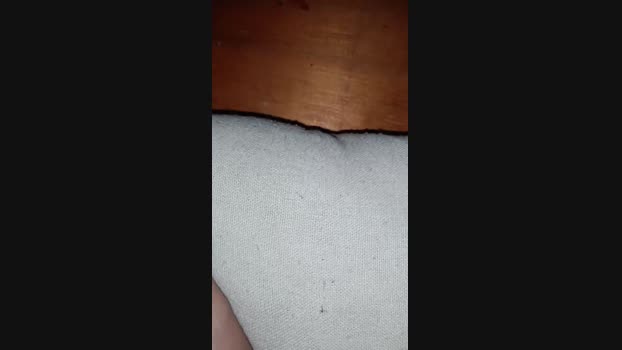 Curly69 11-02-2025 Recorded Video toys