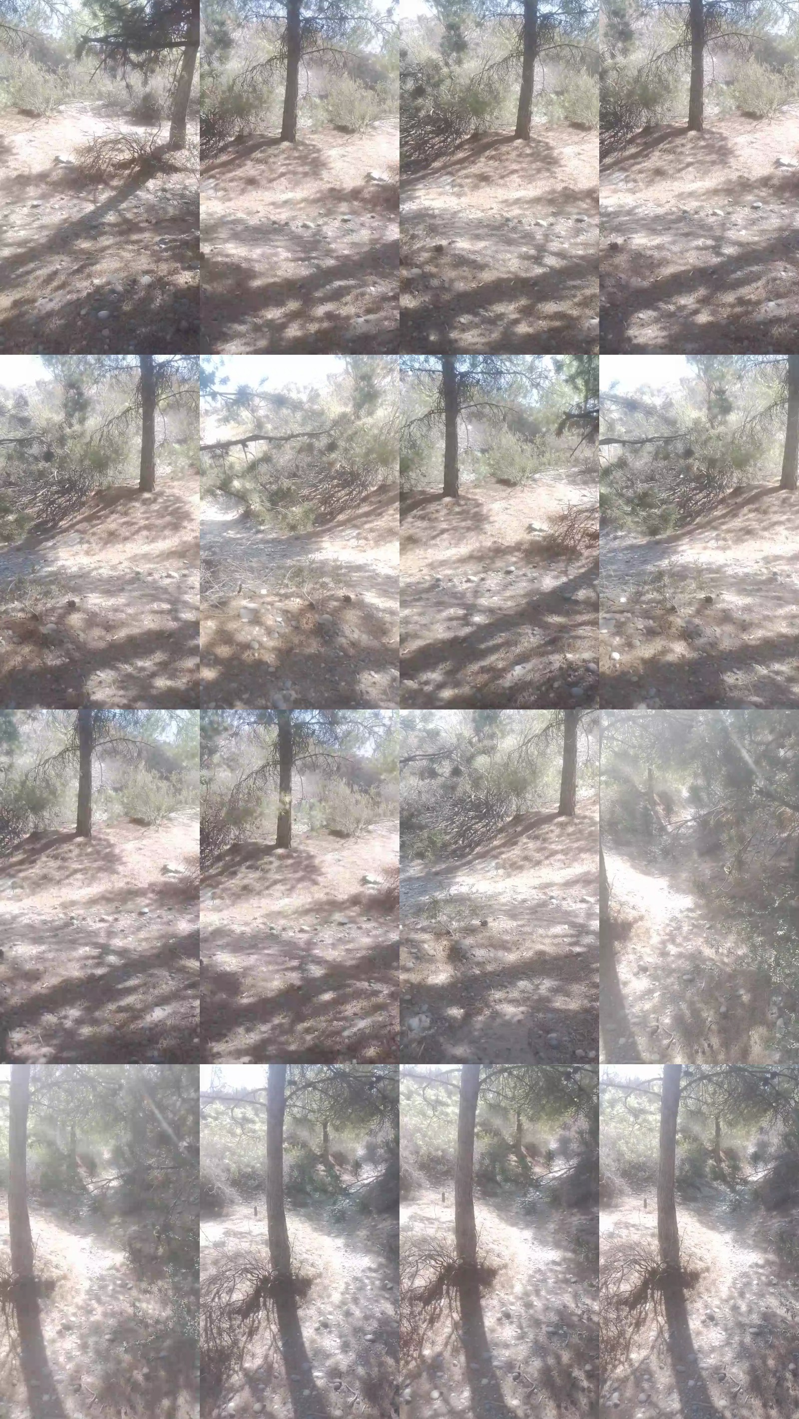 Laoquedad 10-02-2025 Recorded Video big