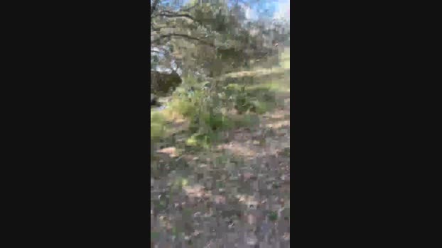 notagainagain 10-02-2025 Recorded Video hot